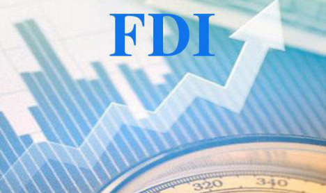 Overview of FDI Capital Flows into the Manufacturing Sector in the First Half of 2025